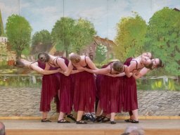 plattdeutscher_heimatabend_2019_38_20190414_1504877321